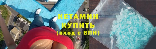 прущие грибы Гусев