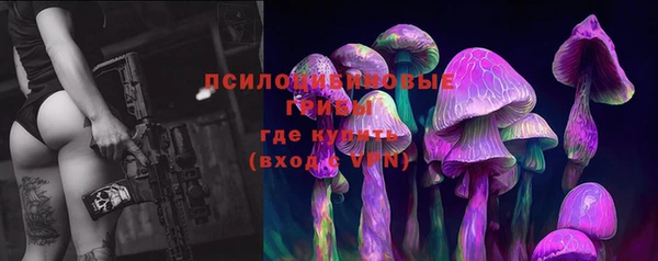 крисы Гусиноозёрск