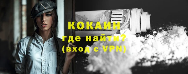 прущие грибы Гусев