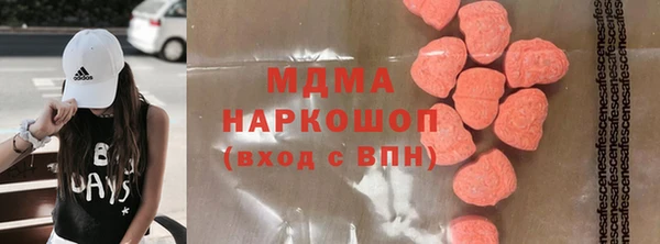 прущие грибы Гусев