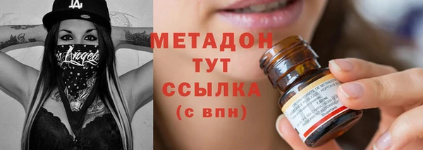 прущие грибы Гусев