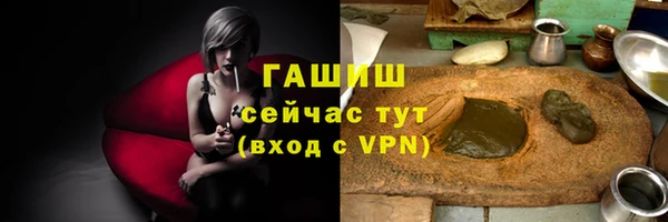 прущие грибы Гусев