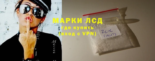 прущие грибы Гусев
