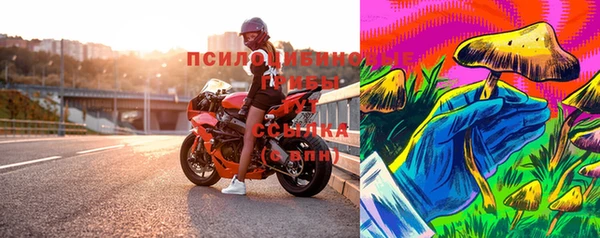прущие грибы Гусев