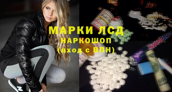 прущие грибы Гусев