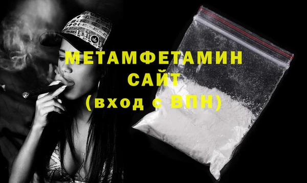 прущие грибы Гусев