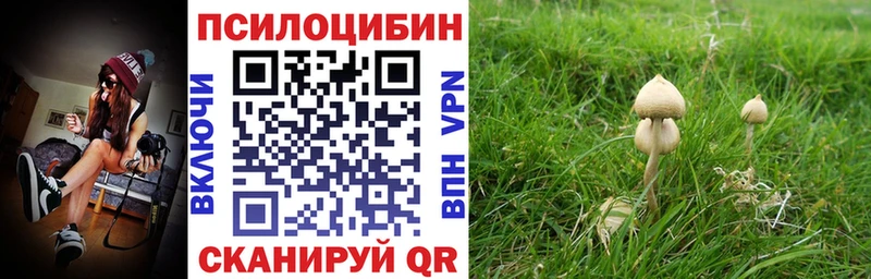Галлюциногенные грибы мухоморы  Купить закладки  Тамбов 